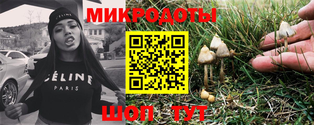 Галлюциногенные грибы мухоморы  Галлюциногенные грибы Cubensis  как найти закладки  Вход с VPN  Ревда 
